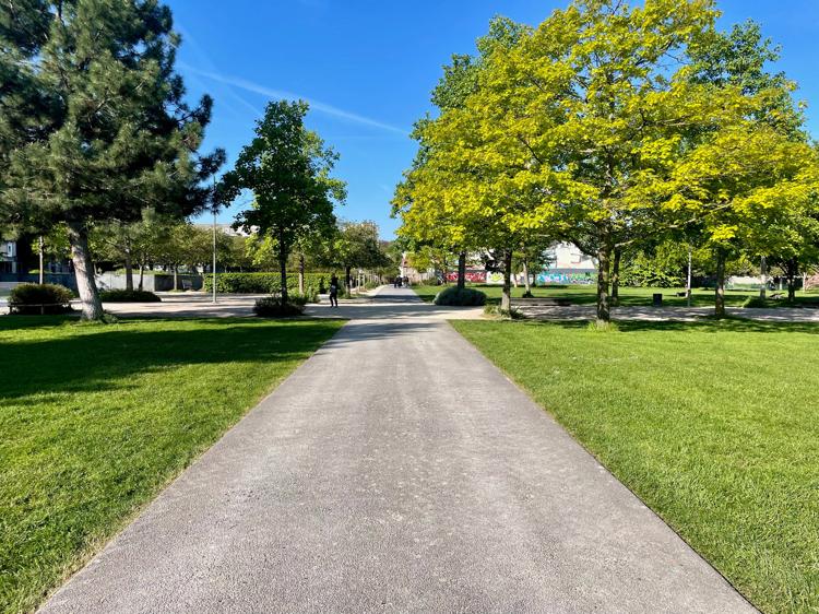 A concrete path bisecting grass on either side, with various trees and hedges dotted around the park. The sky is blue and bright, but there aren’t many people visible – it’s too early for them to be up.